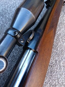 243Win BSA England - 7