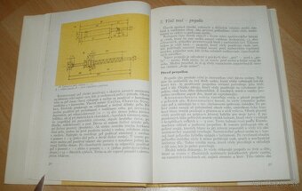 Medonosné rastliny - 7