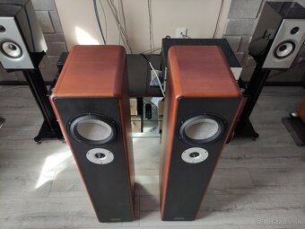 Trenner & Friedl Ella high end reproduktory - 7