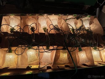 Lucernicky lampasiky - 7