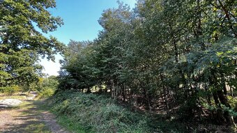 Pozemok 1223 m2 s krásnym výhľadom - Obyce - 7