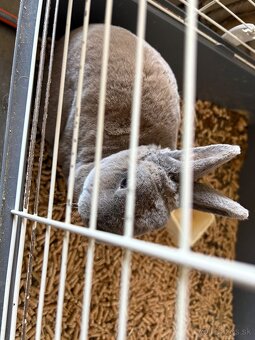 Klietka pre králika - 7