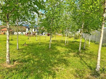 VRÁBLE - rodinný dom s pozemkom 2000 m2 - 7