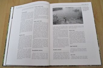 Chytání velkých kapru - 7