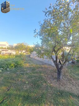 Rodinný dom s veľkým pozemkom v Kolárove – ideálny na bývani - 7