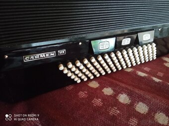 Delicia Carmen III, 96bas - 7