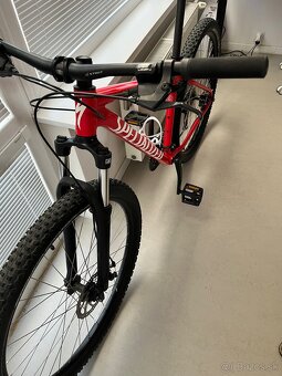 Specialized Rockhopper L 29" - 7