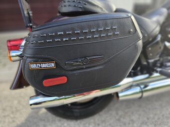 Harley-Davidson Heritage Classic 114 - 7