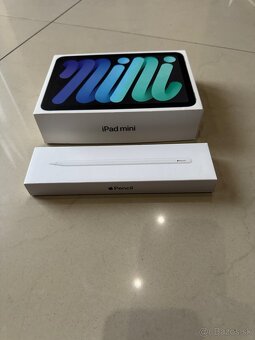 iPad mini 6 gen. + Apple pencil 2 gen. - 7