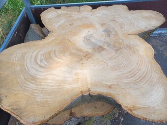 Suché koláče z Habra a Buka - 7