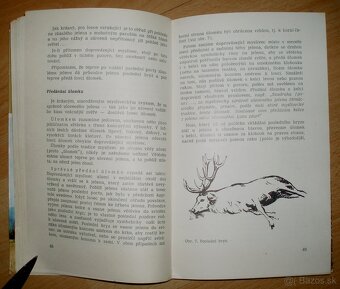 Lovecké praktikum - 7