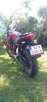 Benelli BN251 - 7
