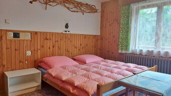 Chata s pozemkom v Demänovskej Doline na predaj - 7