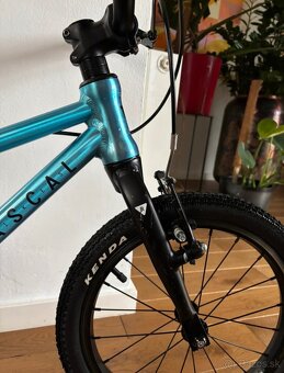 Rascal 16 light blue - 7