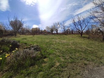 Na predaj viničný dom s 15a pozemkom, Staré predné Levice - 7