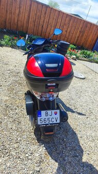 Malaguti Password Ck 250 - 7