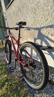 CTM Zephyr Xpert 2020 - 7