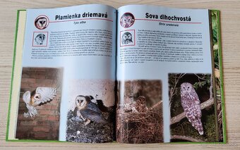 KNIHA NAŠA ZVER OBRAZOVÁ ENCYKLOPÉDIA - 7