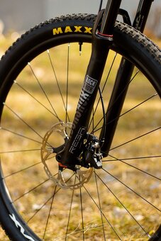 Rockrider XC900 - 7