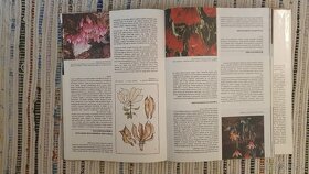 Stará záhradkárska encyklopédia - 7