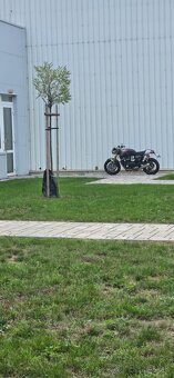 TRIUMPH THRUXTON RS1200 - 7