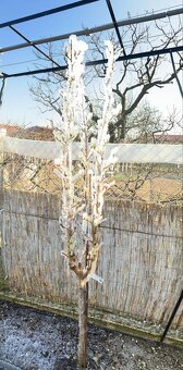 Jemná tryska násuvná - vodná hmla - 7