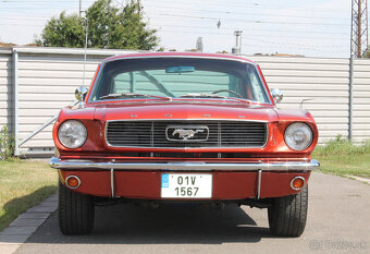 1966 Ford Mustang Fastback 289 V8, manuál, perfektní stav - 7
