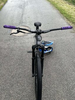 Dirt king Xpert 2023 - 7