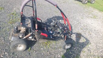 Buggy - 7