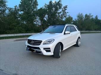 Mercedes-Benz ML350CDI BlueTEC 4MATIC - 7