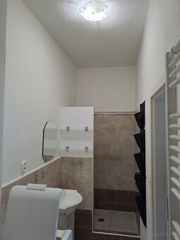 Prenájom 1 izbového bytu/ apartmánu - 7