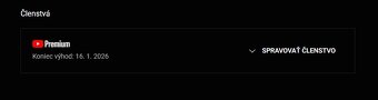 YouTube PREMIUM 12 M - 7