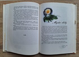 Svadba lisky Rysky - 7