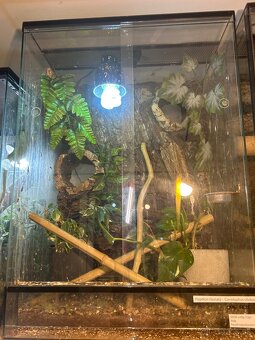 Pagekon Riasnatý 1.2 - 7