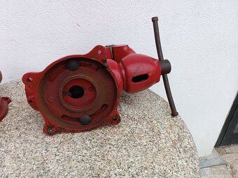 Zverák YORK 125 - 7