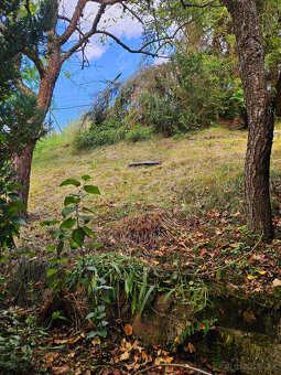 PREDAJ: záhradná chatka Padličkovo (Brezno) - 7