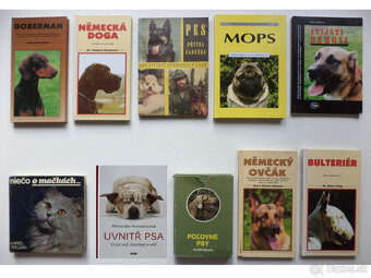 zvieratá, príroda, chov 1 - 7