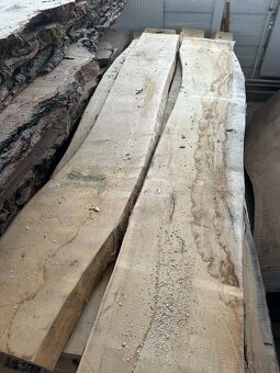 Vysušené javorové fošne, javor horský - 7