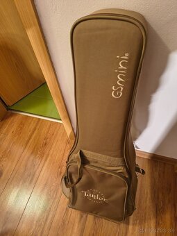 Taylor GS Mini-e Rosewood - 7