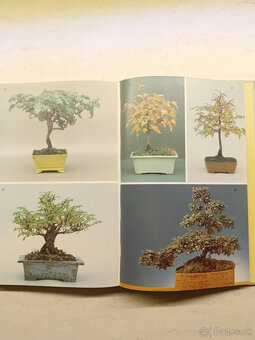 Kniha : BONSAI - 7