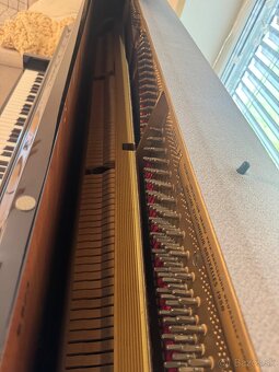 Piano Petrof - 7