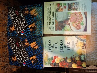 Francúzske a ruské prekladové slovníky - 7