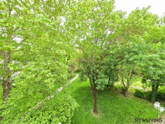 NOVINKA 3 izbový byt ROYOVA / Piešťany - 7