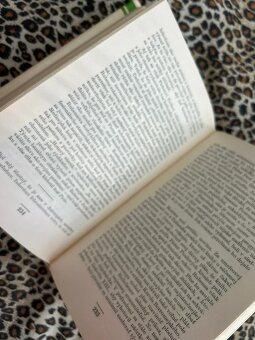 Rubens - Donald Braider - 7