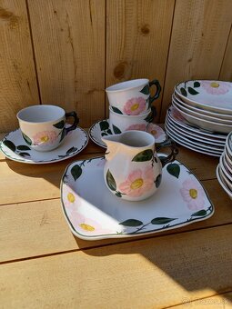 Villeroy & Boch Wild Rose - 7