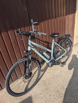 BOSCH Triumph Bosch - 7