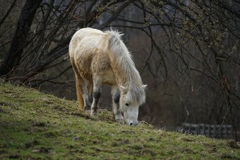 Fotoaparát Sony Alpha A7 II Objektív Sony FE 28–70 mm OSS - 7