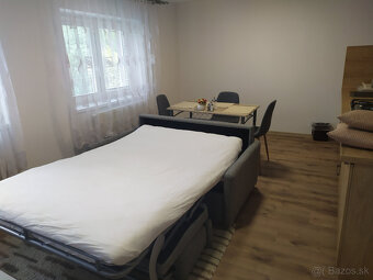 Trenčianske Teplice apartmány ubytovanie aj pre samoplatcov - 7