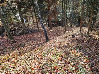 Predam chatu s pozemkom 1978m2 Drienica - 7