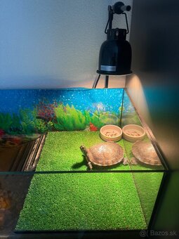 Akvarium pre korytnačky - 7